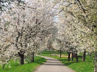 Haus Eisele - Bad Urach - 7