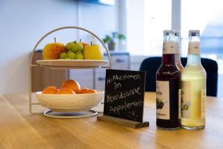 Höri-Nest Abendsonne-Appartement - 9