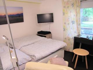 Fewo Hugo37 am Bergpark - Kassel - 6