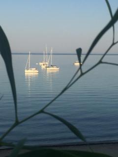 Villa Torretta - Mare Salento - 5