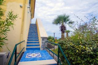Roberto's Garden - 4