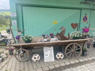 Lieblingsplatz - Weiler-Simmerberg - 9
