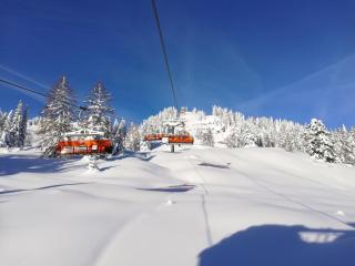 Landhaus Gruber Sommer - 3