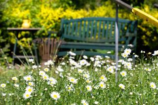 Im grünen Winkel - Brüggen - 2