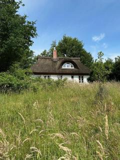 Kate unter Reet im Grünen - 9