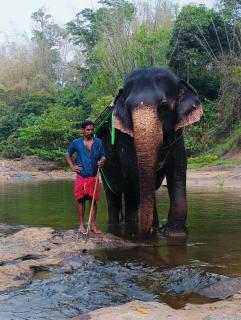 Alhind Residency , Valara, Munnar - 6