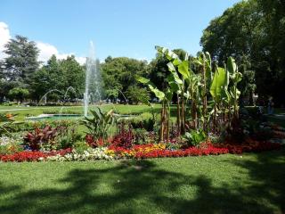 Ferienwohnung über den Dächern - 4