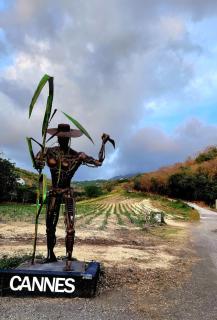 Haut de villa créole caraïbes - 1