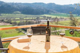 Ferienparadies Bodensee Fewo2 - 8