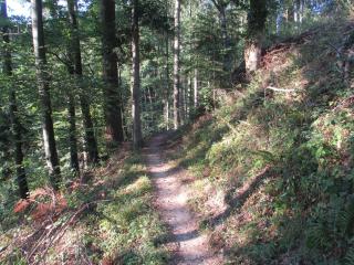 Ferienwohnung am Sulzbach - 1
