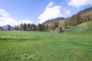 Bait dal Cucù App Plascianet - 1