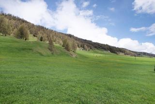 Bait dal Cucù App Plascianet - 8