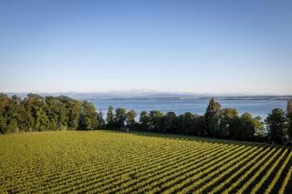 Schloss Kirchberg -Appartment Fleur - 9