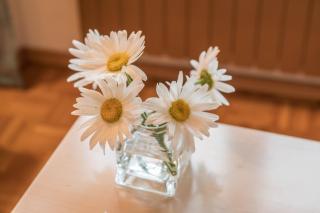 Försterhaus Wohnung Obergeschoss - Egg - 6