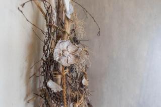 Ferienhaus Nordseerobbe - 3