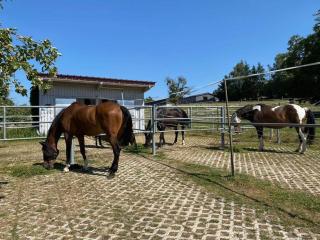 Bei Dörflingers - 7