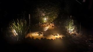 Ferienhaus Burg Celle - 8