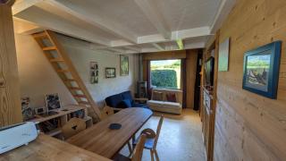 Résidence la Griaz, Chamonix Valley, 4 people - 2