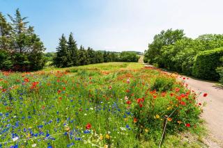 Domaine Des Pavots - 3