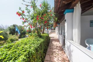 Andromaches single studio - 1