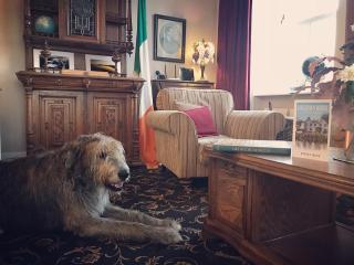 Milltown House Dingle - 6