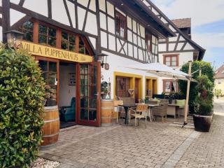 Villa Puppenhaus - Immenstaad am Bodensee - 9