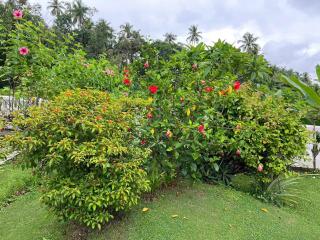 Cim and Sands - Goa - 3