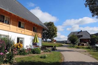 Balzenhof - Titisee-Neustadt - 0