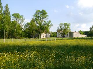 Domaine La Moulinasse - 7
