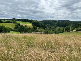 Between hills and home - 9