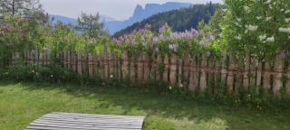 Aschnerhof Auf´m Egg - 3