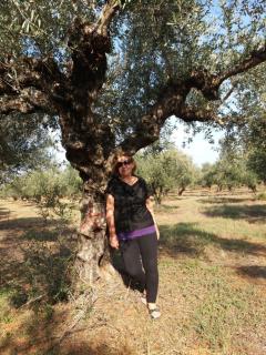 vila GEORGIA stomio beach Filiatra - 6