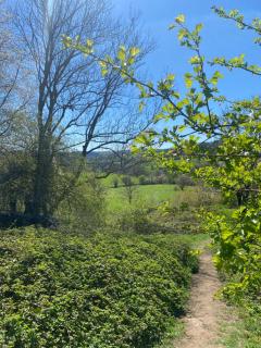 Between hills and home - 4