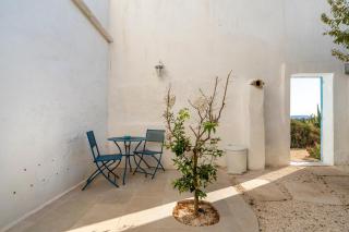 Agrumeto sul mare - 5