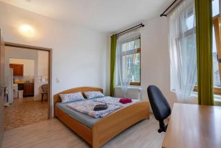 Uni-und Welterbe Stadt Whg 3 - Freiberg - 2