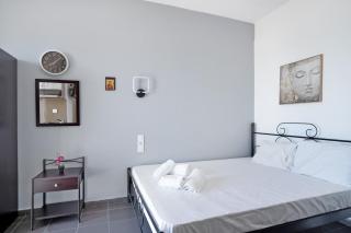 Iguana studio 15 - 5