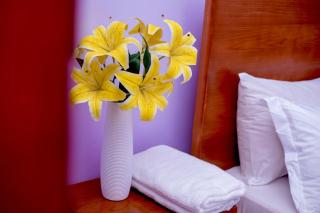 Three bedrooms House- Moshi near KCMC - 5