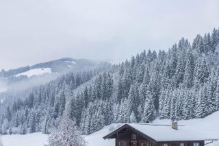 Schwüwong - Apartment 03 - 8