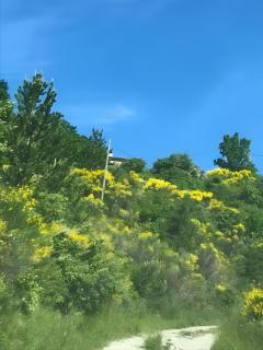 Gîte Fonfroide, Drome Provençale - 1