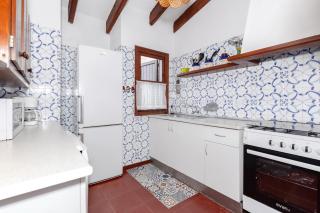 Cavall Menor - 2