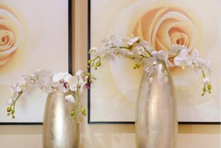 Apartamento Caires - Funchal - 5