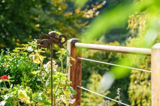 La Colline aux Oiseaux - 4