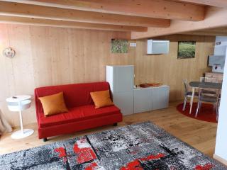 Monolocale Carfon - 9