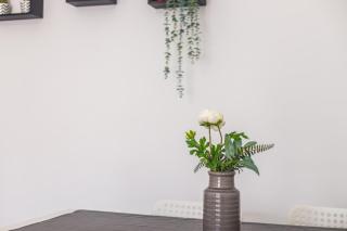Sleeptubal Moderne Accommodatie - 6