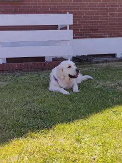 Ferienwohnung Ostseeclick - 4