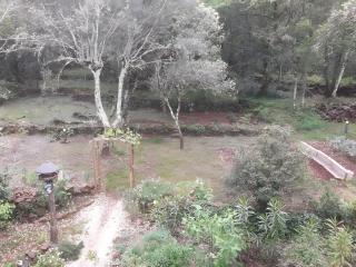 Maison romantique dans les bois - 1