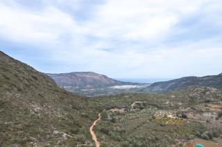 Falaguera Cabaña 2 - 8