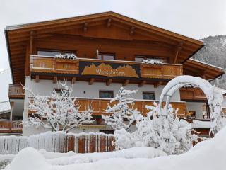 Apartments Weissbrunn - 2