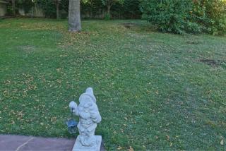 Cal Castro fantástica casa familiar - 6