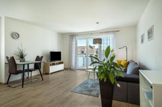 Amsel - Vogelhaus - Friedrichshafen - 8